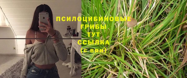 ECSTASY Бугульма