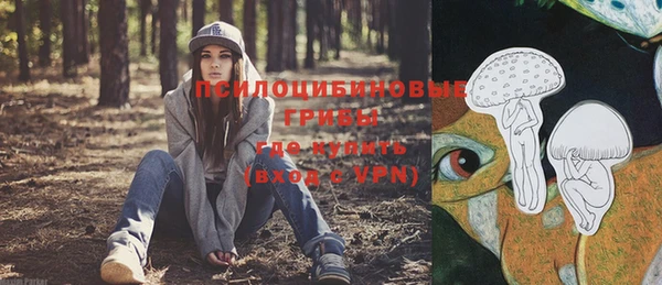 mdma Бородино