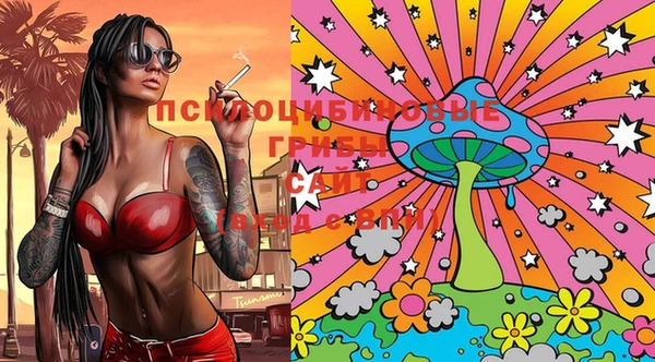 mdma Бородино